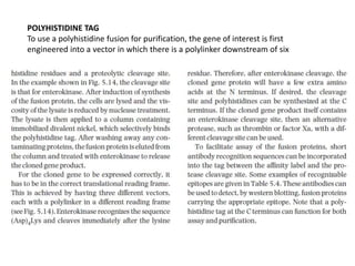 POLYHISTIDINE TAG
To use a polyhistidine fusion for purification, the gene of interest is first
engineered into a vector in which there is a polylinker downstream of six
 