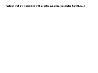 Proteins that are synthesized with signal sequences are exported from the cell
 