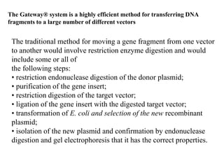 The Gateway® system is a highly efficient method for transferring DNA
fragments to a large number of different vectors
The traditional method for moving a gene fragment from one vector
to another would involve restriction enzyme digestion and would
include some or all of
the following steps:
• restriction endonuclease digestion of the donor plasmid;
• purification of the gene insert;
• restriction digestion of the target vector;
• ligation of the gene insert with the digested target vector;
• transformation of E. coli and selection of the new recombinant
plasmid;
• isolation of the new plasmid and confirmation by endonuclease
digestion and gel electrophoresis that it has the correct properties.
 