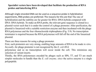 Although single-stranded DNA can be used as a sequence probe in hybridization
experiments, RNA probes are preferred. The reasons for this are that The rate of
hybridization and the stability are far greater for RNA–DNA hybrids compared with
DNA–DNA hybrids. To make an RNA probe, the relevant gene sequence is cloned in a
plasmid vector such that it is under the control of a phage promoter. After purification, the
plasmid is linearized with a suitable restriction enzyme and then incubated with the phage
RNA polymerase and the four ribonucleoside triphosphates (Fig. 5.9). No transcription
terminator is required because the RNA polymerase will fall off the end of the linearized
plasmid.
Specialist vectors have been developed that facilitate the production of RNA
probes and interfering RNA
There are three reasons for using a phage promoter.
First, such promoters are very strong, enabling large amounts of RNA to be made in vitro.
Secondly, the phage promoter is not recognized by the E. coli RNA
polymerase and so no transcription will occur inside the cell. This minimizes any
selection of variant inserts.
Thirdly, the RNA polymerases encoded by phages such as SP6, T7, and T3 are much
simpler molecules to handle than the E. coli enzyme, since the active enzyme is a single
polypeptide.
 