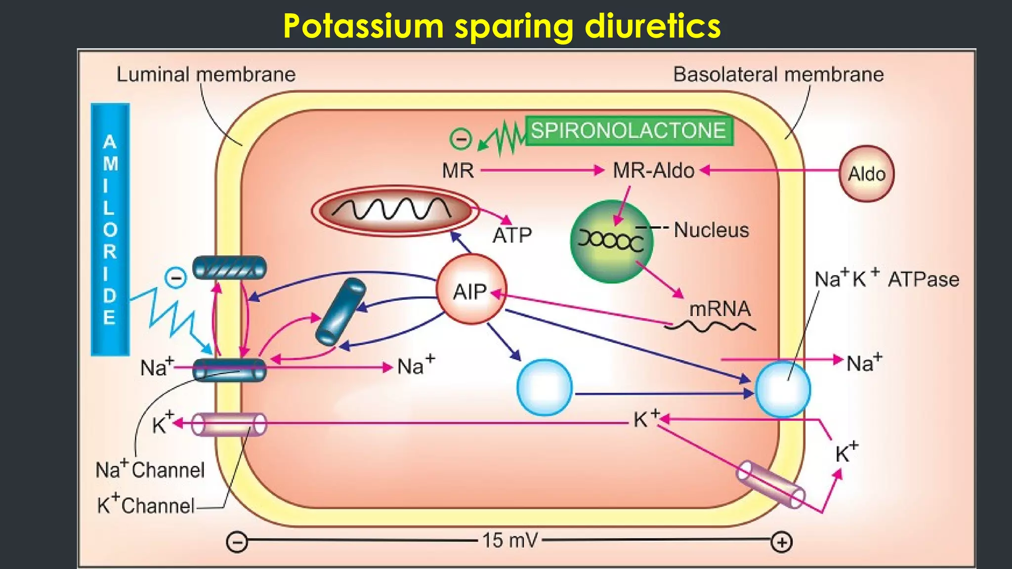 Potassium sparing diuretics
 