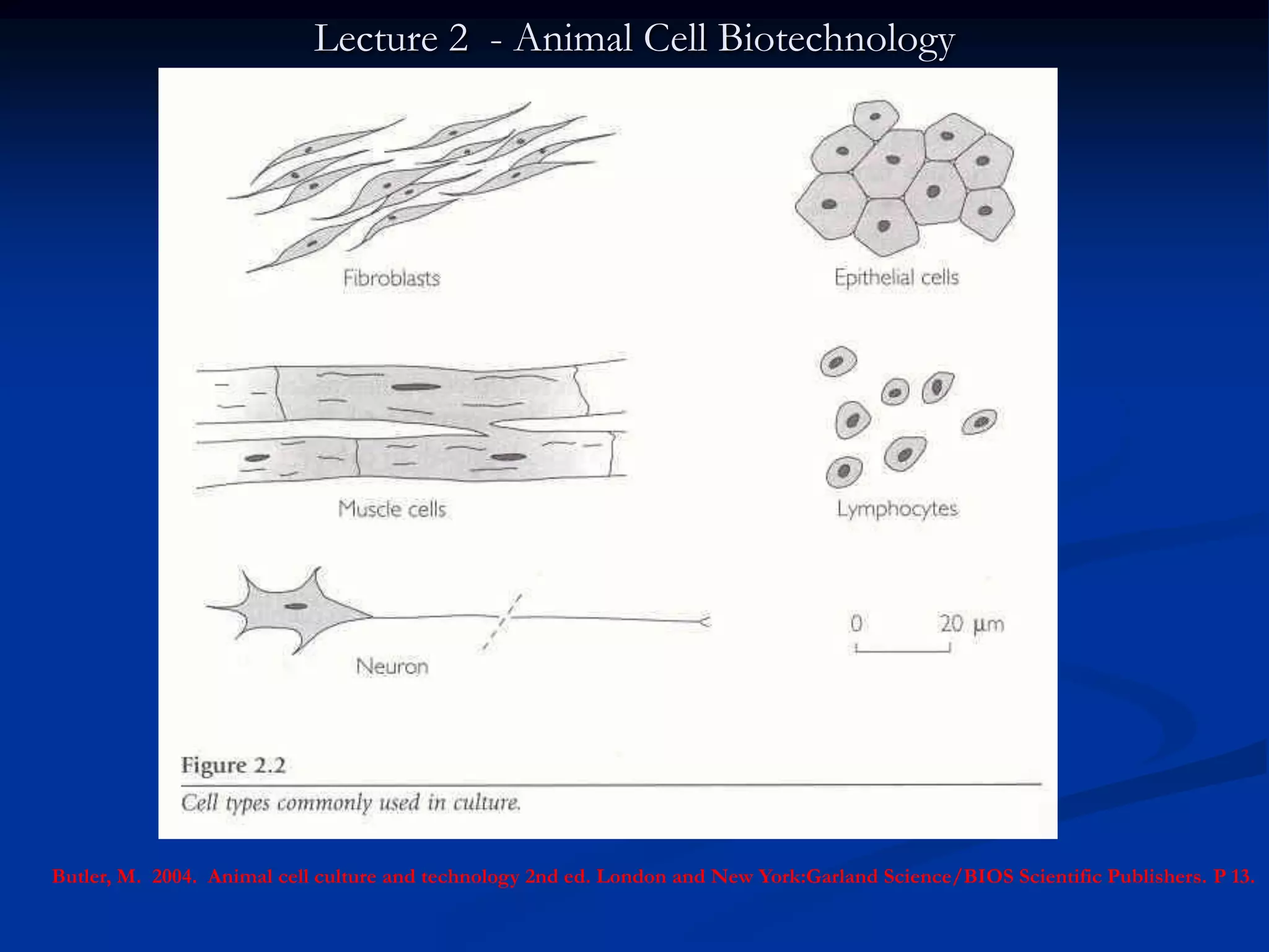 Lecture 2 - Animal Cell Biotechnology




Butler, M. 2004. Animal cell culture and technology 2nd ed. London and New York:Garland Science/BIOS Scientific Publishers. P 13.
 
