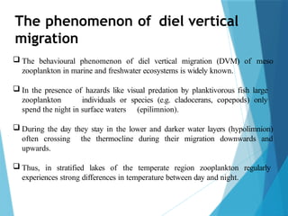The phenomenon of diel vertical
migration
 The behavioural phenomenon of diel vertical migration (DVM) of meso
zooplankton in marine and freshwater ecosystems is widely known.
 In the presence of hazards like visual predation by planktivorous fish large
zooplankton individuals or species (e.g. cladocerans, copepods) only
spend the night in surface waters (epilimnion).
 During the day they stay in the lower and darker water layers (hypolimnion)
often crossing the thermocline during their migration downwards and
upwards.
 Thus, in stratified lakes of the temperate region zooplankton regularly
experiences strong differences in temperature between day and night.
 