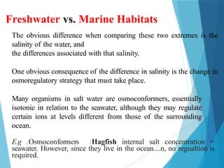 Freshwater vs. Marine Habitats
The obvious difference when comparing these two extremes is the
salinity of the water, and
the differences associated with that salinity.
One obvious consequence of the difference in salinity is the change in
osmoregulatory strategy that must take place.
Many organisms in salt water are osmoconformers, essentially
isotonic in relation to the seawater, although they may regulate
certain ions at levels different from those of the surrounding
ocean.
E.g .Osmoconformers :Hagfish internal salt concentration =
seawater. However, since they live in the ocean....n, no regualtion is
required.
 
