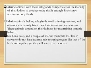 ❑ Marine animals with these salt glands compensate for the inability
of their kidney to produce urine that is strongly hypertonic
relative to body fluids.
❑ Marine animals lacking salt glands avoid drinking seawater, and
obtain water entirely from their food intake and metabolism.
These animals depend on their kidneys for maintaining osmotic
balance.
❑ Sea lions, seals, and a couple of marine mammals that live in
saltwater do not have external salt-secreting organs like that of the
birds and reptiles, yet they still survive in the ocean.
 