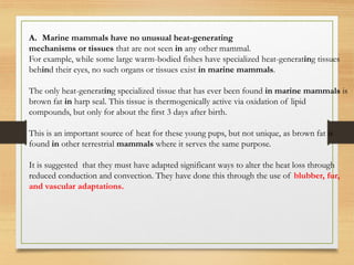 A. Marine mammals have no unusual heat-generating
mechanisms or tissues that are not seen in any other mammal.
For example, while some large warm-bodied fishes have specialized heat-generating tissues
behind their eyes, no such organs or tissues exist in marine mammals.
The only heat-generating specialized tissue that has ever been found in marine mammals is
brown fat in harp seal. This tissue is thermogenically active via oxidation of lipid
compounds, but only for about the first 3 days after birth.
This is an important source of heat for these young pups, but not unique, as brown fat is
found in other terrestrial mammals where it serves the same purpose.
It is suggested that they must have adapted significant ways to alter the heat loss through
reduced conduction and convection. They have done this through the use of blubber, fur,
and vascular adaptations.
 