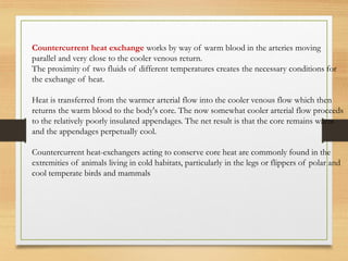 Countercurrent heat exchange works by way of warm blood in the arteries moving
parallel and very close to the cooler venous return.
The proximity of two fluids of different temperatures creates the necessary conditions for
the exchange of heat.
Heat is transferred from the warmer arterial flow into the cooler venous flow which then
returns the warm blood to the body's core. The now somewhat cooler arterial flow proceeds
to the relatively poorly insulated appendages. The net result is that the core remains warm
and the appendages perpetually cool.
Countercurrent heat-exchangers acting to conserve core heat are commonly found in the
extremities of animals living in cold habitats, particularly in the legs or flippers of polar and
cool temperate birds and mammals
 