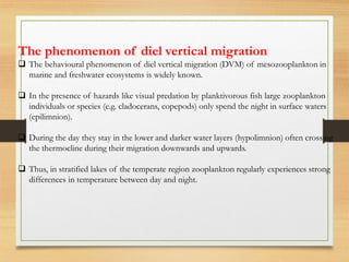 The phenomenon of diel vertical migration
❑ The behavioural phenomenon of diel vertical migration (DVM) of mesozooplankton in
marine and freshwater ecosystems is widely known.
❑ In the presence of hazards like visual predation by planktivorous fish large zooplankton
individuals or species (e.g. cladocerans, copepods) only spend the night in surface waters
(epilimnion).
❑ During the day they stay in the lower and darker water layers (hypolimnion) often crossing
the thermocline during their migration downwards and upwards.
❑ Thus, in stratified lakes of the temperate region zooplankton regularly experiences strong
differences in temperature between day and night.
 