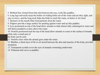 5. Webbed feet, formed from thin skin between the toes, work like paddles.
6. Long legs and necks keep the bodies of wading birds out of the water and are thin, light, and
easy to move, and the long neck helps the birds to reach the water, or below it, for food.
7. Strainers in the mouth filter food particles from the water.
8. Flippers provide a large surface for pushing against water and act like paddles.
9. Eyes positioned on top of the head allow animals to hide almost fully submerged in water and
still detect predators or prey above the water.
10. Nostrils positioned near the top of the head allow animals to come to the surface to breathe
while only a small part of
the body can be seen.
11. Nostrils close when the animal goes under the water.
12. Blubber, a thick layer of fat or oil stored between the skin and muscles of the body, provides
insulation.
13. Transparent eyelids cover the eyes of animals swimming underwater.
14. Flattened tails serve as paddles.
 