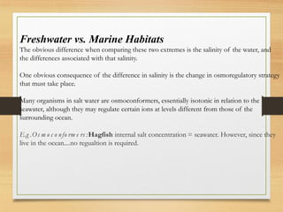 Freshwater vs. Marine Habitats
The obvious difference when comparing these two extremes is the salinity of the water, and
the differences associated with that salinity.
One obvious consequence of the difference in salinity is the change in osmoregulatory strategy
that must take place.
Many organisms in salt water are osmoconformers, essentially isotonic in relation to the
seawater, although they may regulate certain ions at levels different from those of the
surrounding ocean.
E.g .Os m o c o nfo rm e rs :Hagfish internal salt concentration = seawater. However, since they
live in the ocean....no regualtion is required.
 