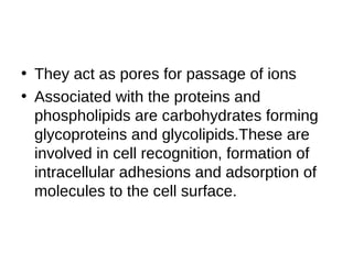 • They act as pores for passage of ions
• Associated with the proteins and
phospholipids are carbohydrates forming
glycoproteins and glycolipids.These are
involved in cell recognition, formation of
intracellular adhesions and adsorption of
molecules to the cell surface.
 
