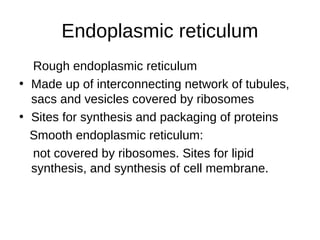 Endoplasmic reticulum
Rough endoplasmic reticulum
• Made up of interconnecting network of tubules,
sacs and vesicles covered by ribosomes
• Sites for synthesis and packaging of proteins
Smooth endoplasmic reticulum:
not covered by ribosomes. Sites for lipid
synthesis, and synthesis of cell membrane.
 