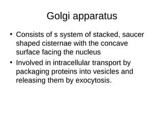 Golgi apparatus
• Consists of s system of stacked, saucer
shaped cisternae with the concave
surface facing the nucleus
• Involved in intracellular transport by
packaging proteins into vesicles and
releasing them by exocytosis.
 