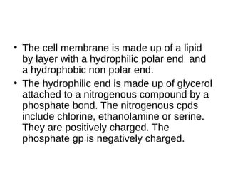 • The cell membrane is made up of a lipid
by layer with a hydrophilic polar end and
a hydrophobic non polar end.
• The hydrophilic end is made up of glycerol
attached to a nitrogenous compound by a
phosphate bond. The nitrogenous cpds
include chlorine, ethanolamine or serine.
They are positively charged. The
phosphate gp is negatively charged.
 