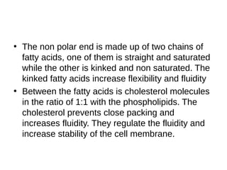 • The non polar end is made up of two chains of
fatty acids, one of them is straight and saturated
while the other is kinked and non saturated. The
kinked fatty acids increase flexibility and fluidity
• Between the fatty acids is cholesterol molecules
in the ratio of 1:1 with the phospholipids. The
cholesterol prevents close packing and
increases fluidity. They regulate the fluidity and
increase stability of the cell membrane.
 