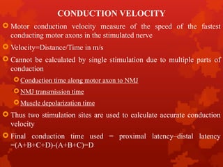 lecture 2 basic NCs.pptx physiotherapy.. | PPTX