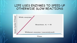LECTURE 2 BIOCHEMISTRY.ppt