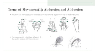 Lecture 2 (Biomechanics of lower limb).pdf