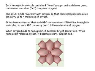 Each hemoglobin molecule contains 4 "heme" groups, and each heme group
contains an iron atom (Fe2+) carry one oxygen).
The IRON binds reversibly with oxygen, so that each hemoglobin molecule
can carry up to 4 molecules of oxygen.
It has been estimated that each RBC contains about 280 million hemoglobin
molecules, so each RBC can carry over 1 billion molecules of oxygen.
When oxygen binds to hemoglobin, it becomes bright scarlet red. When
hemoglobin releases oxygen, it becomes a dark, purplish red.
 