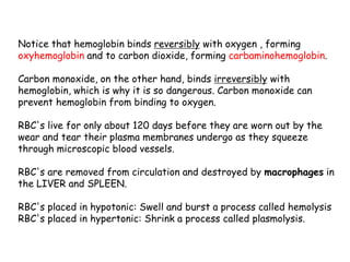 Notice that hemoglobin binds reversibly with oxygen , forming
oxyhemoglobin and to carbon dioxide, forming carbaminohemoglobin.
Carbon monoxide, on the other hand, binds irreversibly with
hemoglobin, which is why it is so dangerous. Carbon monoxide can
prevent hemoglobin from binding to oxygen.
RBC's live for only about 120 days before they are worn out by the
wear and tear their plasma membranes undergo as they squeeze
through microscopic blood vessels.
RBC's are removed from circulation and destroyed by macrophages in
the LIVER and SPLEEN.
RBC's placed in hypotonic: Swell and burst a process called hemolysis
RBC's placed in hypertonic: Shrink a process called plasmolysis.
 