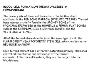 BLOOD CELL FORMATION (HEMATOPOIESES or
HEMOPOIESIS)
The primary site of blood cell formation after birth and into
adulthood is the RED BONE MARROW (MYELOID TISSUE). The red
bone marrow is chiefly found in the SPONGY BONE of the
PROXIMAL EPIPHYSES of the HUMERUS & FEMUR; FLAT BONES
such as the STERNUM, RIBS & CRANIAL BONES; and the
VERTEBRAE & PELVIS.
All of the formed elements arise from the same type of cell, the
PLURIPOTENT HEMATOPOIETIC STEM CELL, which resides in the
RED BONE MARROW.
Each formed element has a different maturation pathway. Hormones
control differentiation and maturation of the formed
elements. After the cells mature, they are discharged into the
bloodstream.
 