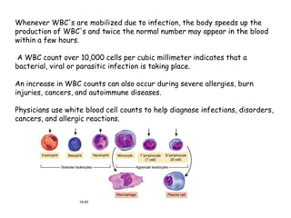 Whenever WBC's are mobilized due to infection, the body speeds up the
production of WBC's and twice the normal number may appear in the blood
within a few hours.
A WBC count over 10,000 cells per cubic millimeter indicates that a
bacterial, viral or parasitic infection is taking place.
An increase in WBC counts can also occur during severe allergies, burn
injuries, cancers, and autoimmune diseases.
Physicians use white blood cell counts to help diagnose infections, disorders,
cancers, and allergic reactions.
 