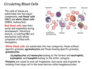 Circulating Blood Cells
The cells of blood are
subdivided into two major
components, red blood cells
(RBC) and white blood cells
(WBCs, leukocytes).
Red blood cells lose their
nuclei and organelles during
development, therefore
mature, circulating RBC are
anucleated cells whose
cytoplasm is filled with
hemoglobin.
White blood cells are subdivided into two categories, those without
specific granules, agranulocytes and those housing specific granules,
granulocytes.
Lymphocytes and monocytes belong to the former and neutrophils,
eosinophils, and basophils belong to the latter category.
Platelets are round to oval cell fragments, lack nuclei and originate by
budding from large cell in the bone marrow called megakaryocytes.
 