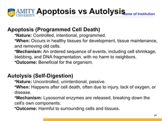 Lecture_2_Cell Injury, its types_pathology.pptx