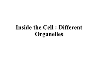 Inside the Cell : Different
Organelles
 