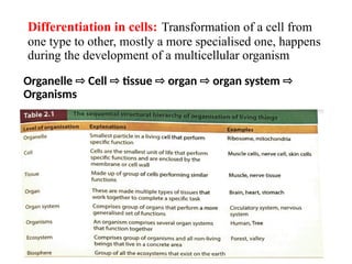 Differentiation in cells: Transformation of a cell from
one type to other, mostly a more specialised one, happens
during the development of a multicellular organism
Organelle Cell tissue organ organ system
⇨ ⇨ ⇨ ⇨ ⇨
Organisms
 