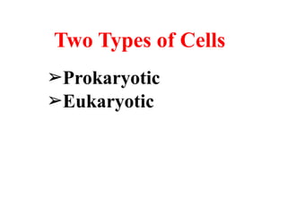 ➢Prokaryotic
➢Eukaryotic
Two Types of Cells
 