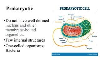 Prokaryotic
•Do not have well defined
nucleus and other
membrane-bound
organelles.
•Few internal structures
•One-celled organisms,
Bacteria
 