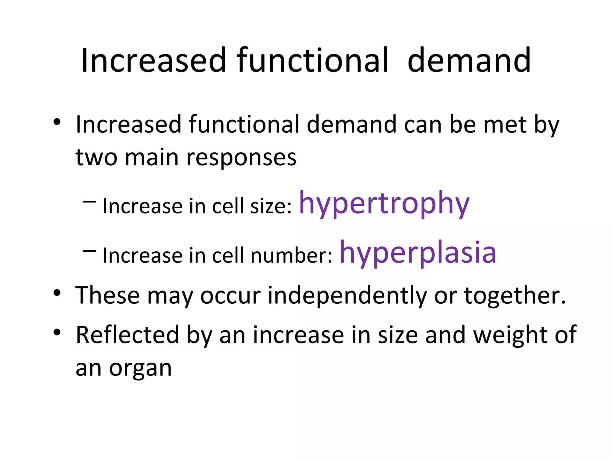 Increased functional demand
• Increased functional demand can be met by
two main responses
– Increase in cell size: hypertrophy
– Increase in cell number: hyperplasia
• These may occur independently or together.
• Reflected by an increase in size and weight of
an organ
 