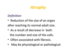 Lecture 2 (cellular adaptation) | PPT