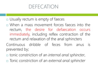 Comprehensive Overview of Gastrointestinal Tract Motility and ...