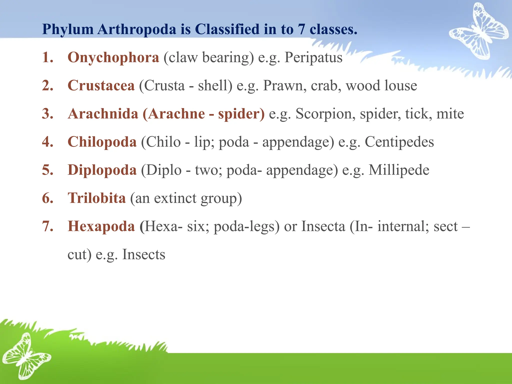 Lecture 2 Classification Of Phylum Arthropoda Upto Classes Position