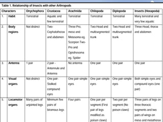 Lecture 2 CLASSIFICATION OF PHYLUM ARTHROPODA UPTO CLASSES & POSITION ...