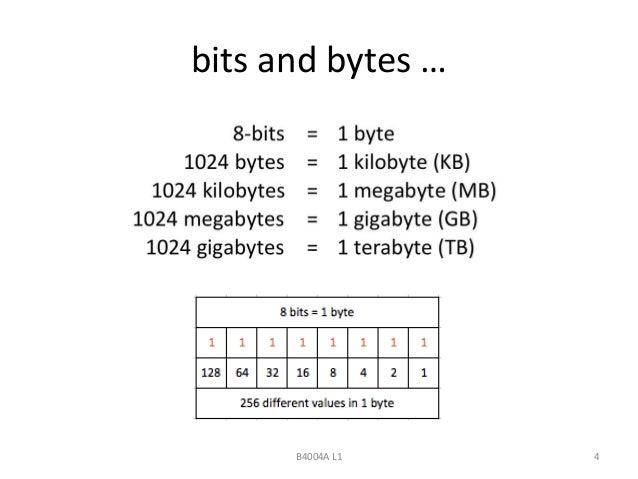 Lecture 2 coding_principles