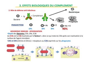 PHAGOCYTOSE
10% 30% 30% 90%
2. Rôle de défense anti infectieux
3. EFFETS BIOLOGIQUES DU COMPLEMENT
ADHERENCE IMMUNE - OPSONISATION
•Dépôt des Opsonins: C3b, C4b, iC3b
(la iC3b est la C3b Inactivée par le facteur I…donc ce qui reste du C3b après son inactivation à la
surface de l’agent microbien
ADHERENCE IMMUNE - OPSONISATION
•Dépôt des Opsonins: C3b, C4b, iC3b
(la iC3b est la C3b Inactivée par le facteur I…donc ce qui reste du C3b après son inactivation à la
surface de l’agent microbien
•CR3 et CR4 (CD11b et CD11c) = récepteurs au iC3b exprimés sur les phagocytes
 