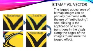 Can Bitmap Lecture 2 computer graphics | PPTX