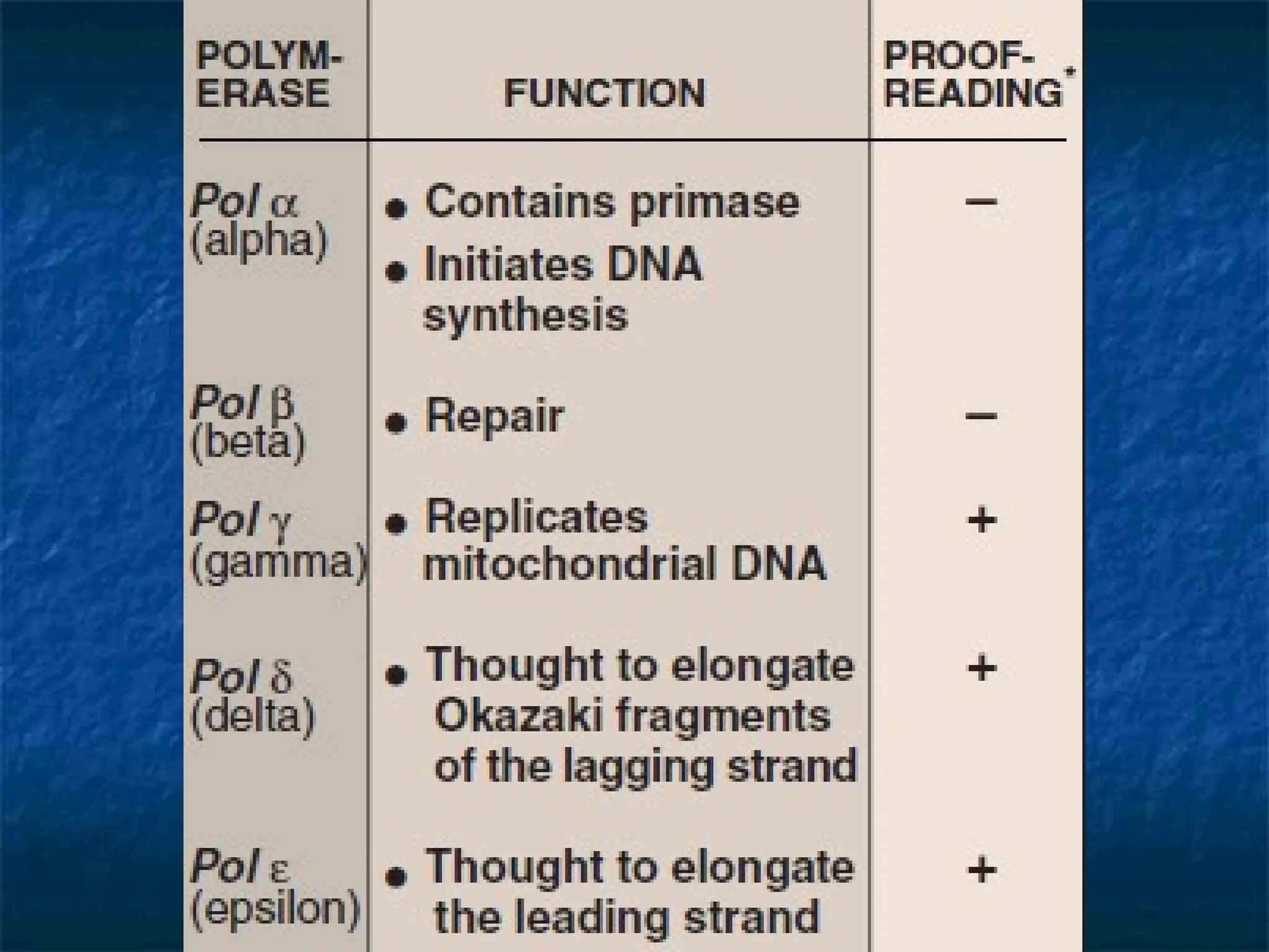 Lecture 2 DNA replication process and events.ppt
