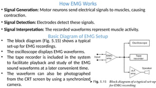 Basic Egm Signals lecture2 EEG EMG VCG PCG_1105315566.pptx