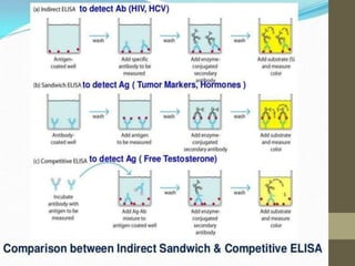 Elisa and Its types | PPTX