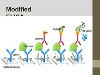 Elisa and Its types | PPTX