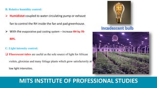 MITS INSTITUTE OF PROFESSIONAL STUDIES
B. Relative humidity control:
 Humidistat coupled to water circulating pump or exhaust
fan to control the RH inside the fan and pad greenhouse.
 With the evaporative pad cooling system – Increase RH by 70-
80%.
C. Light intensity control:
 Fluorescent tubes are useful as the sole source of light for African
violets, gloxinias and many foliage plants which grow satisfactorily at
low light intensities.
 