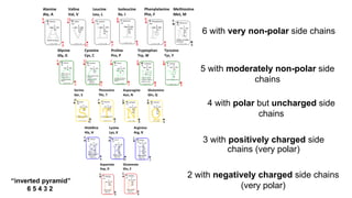 Polar Inverted Lecture 2 F23.pdfnjnjnjnjnjnjnnjnjmnjnjn | PDF