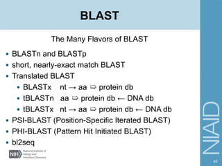 BLAST and sequence alignment | PPTX