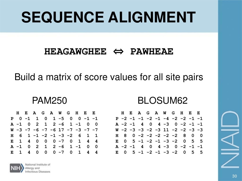 BLAST and sequence alignment