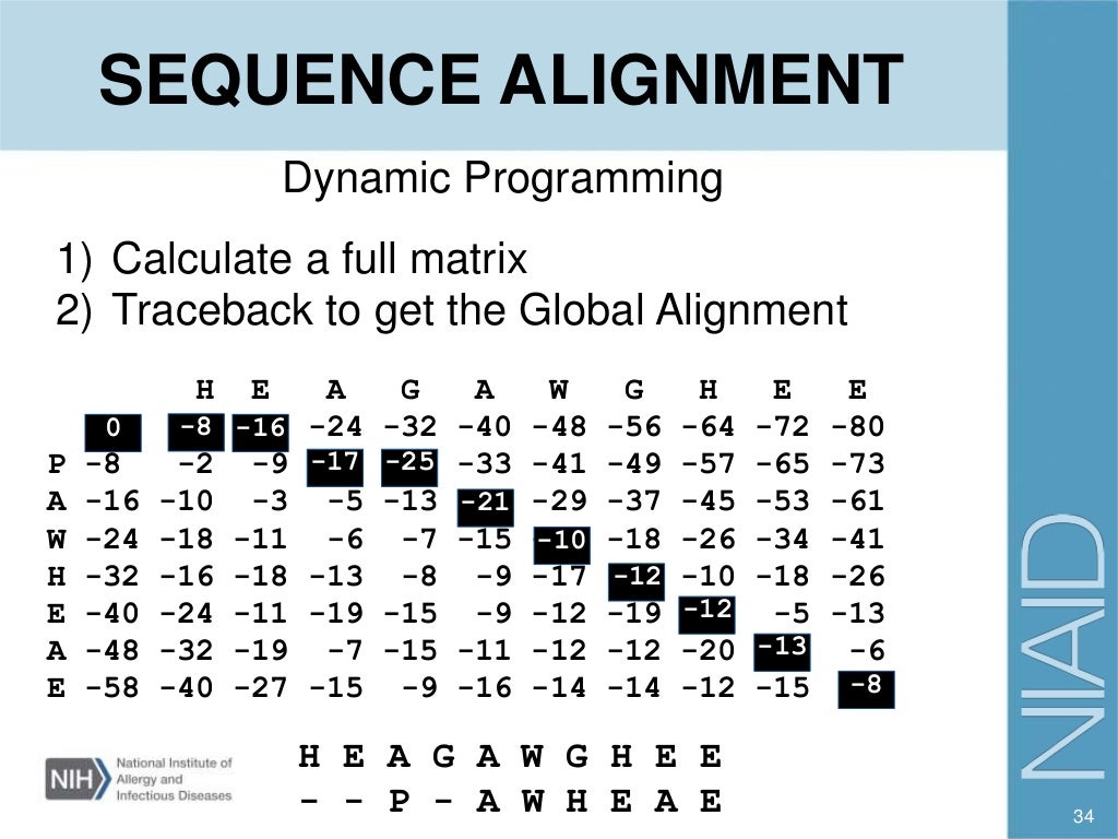BLAST and sequence alignment