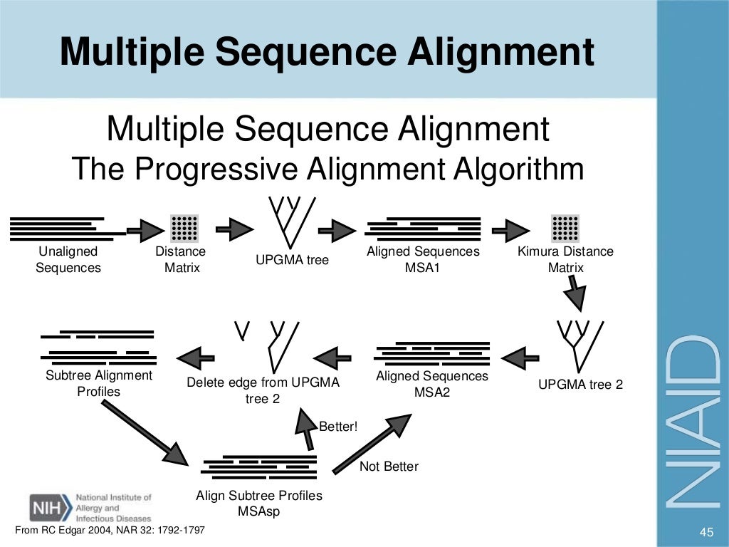BLAST and sequence alignment
